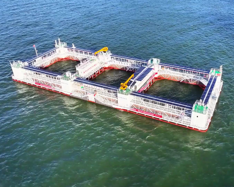 海洋生物环保涂料